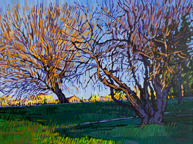 William Hook (b. 1948)