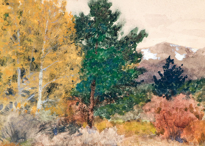 Untitled (Trees in Autumn, Colorado), Painting, circa 1900