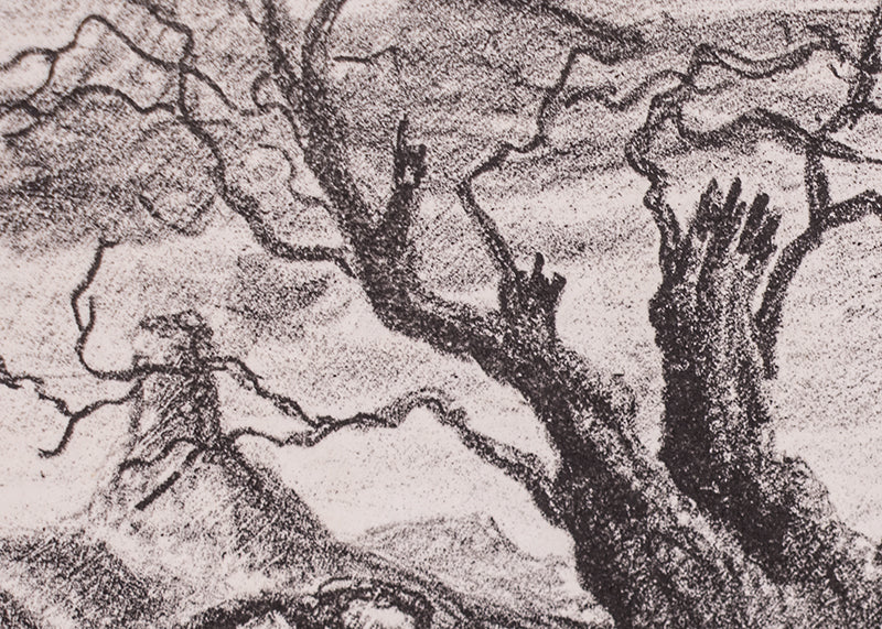 Desolate Ruler; 2/12 (Ravine in Storm), Print, 1952