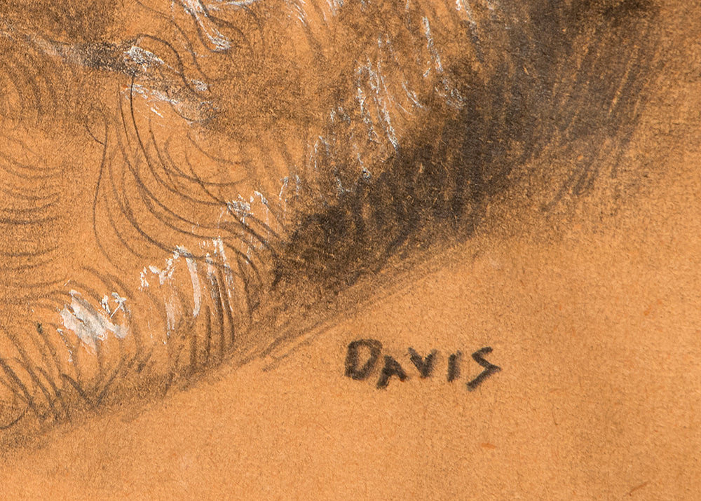 Untitled (Portrait of a Man), Drawing