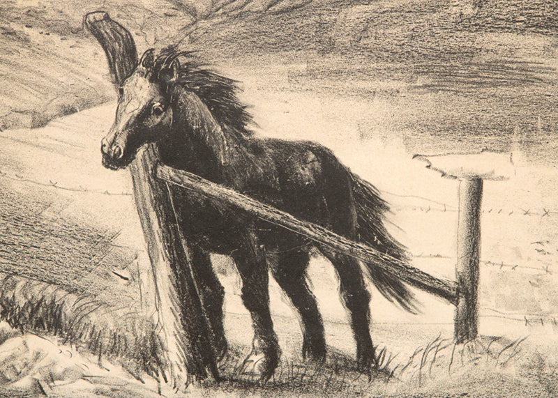 Forgotten, 53/80 (Horse by Fence), Print, 1943