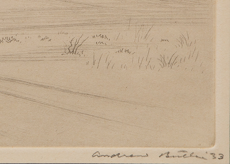 Arizona Junction (Rural Train Depot), Print, 1933