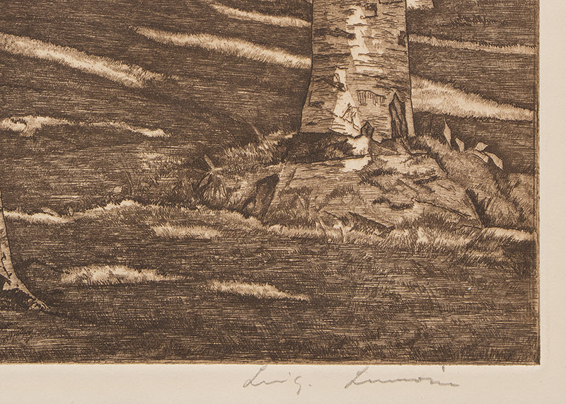 Rhythm in White (Aspen Grove), Print, circa 1950