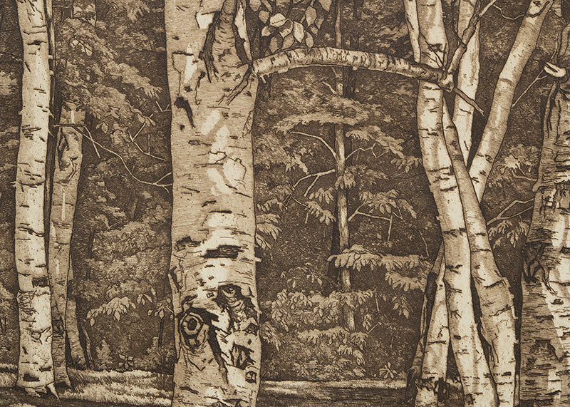 Rhythm in White (Aspen Grove), Print, circa 1950