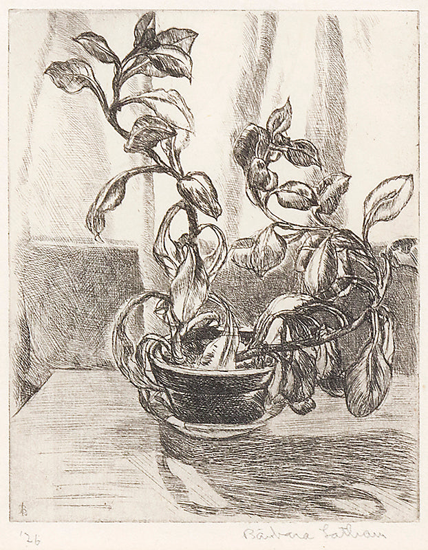 Barbara Latham (1896-1989) artwork for sale. Untitled (Still Life), Print, 1926, Denver, Colorado, Art Gallery)