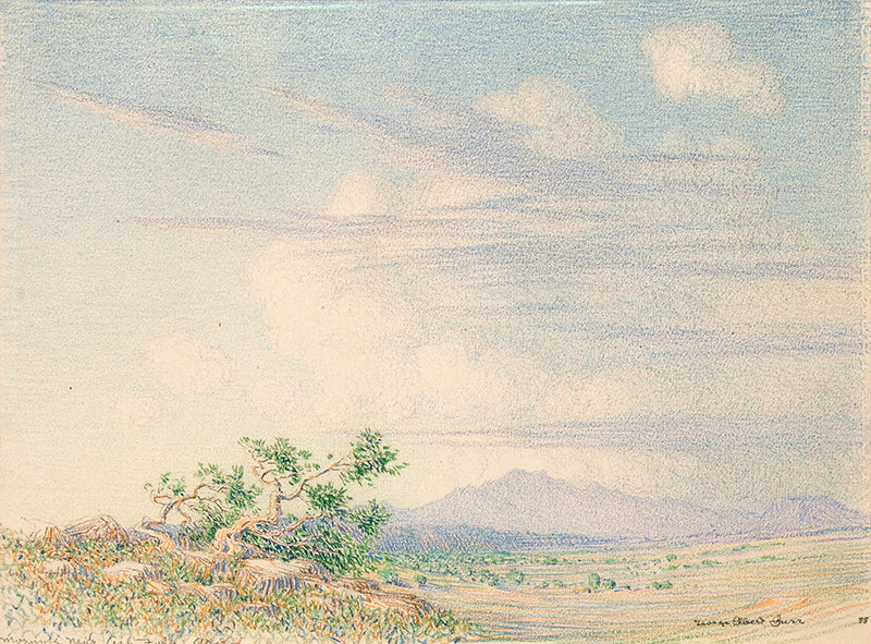 George Elbert Burr (1859-1939) artwork for sale. Morning Near Arizona (Desert Landscape), Drawing, 1888, Denver, Colorado, Art Gallery)