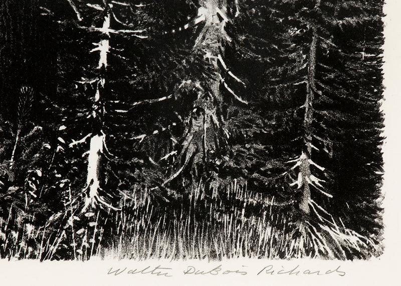 Mt Lassen; 19/20 (Northern California), Print