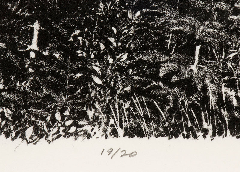 Mt Lassen; 19/20 (Northern California), Print