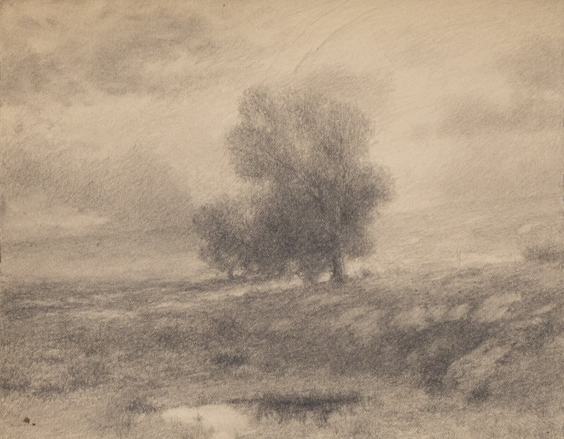 Charles Partridge Adams (1858-1942) artwork for sale. Untitled (Cottonwood Tree), Drawing, circa 1910, Denver, Colorado, Art Gallery)