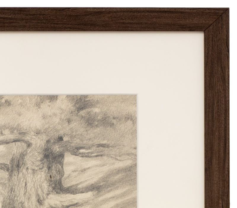 Untitled (Ancient Tree), Drawing, circa 1910