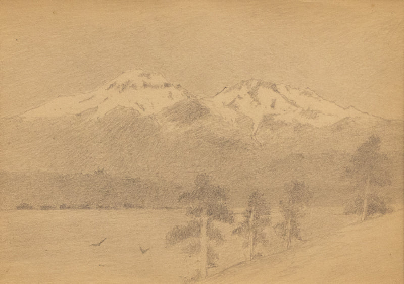 Charles Partridge Adams (1858-1942) artwork for sale. Untitled (Mountains with Pines), Drawing, circa 1910, Denver, Colorado, Art Gallery)