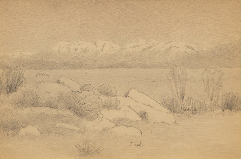 Charles Partridge Adams (1858-1942) artwork for sale. Untitled (Buena Vista), Drawing, circa 1910, Denver, Colorado, Art Gallery)