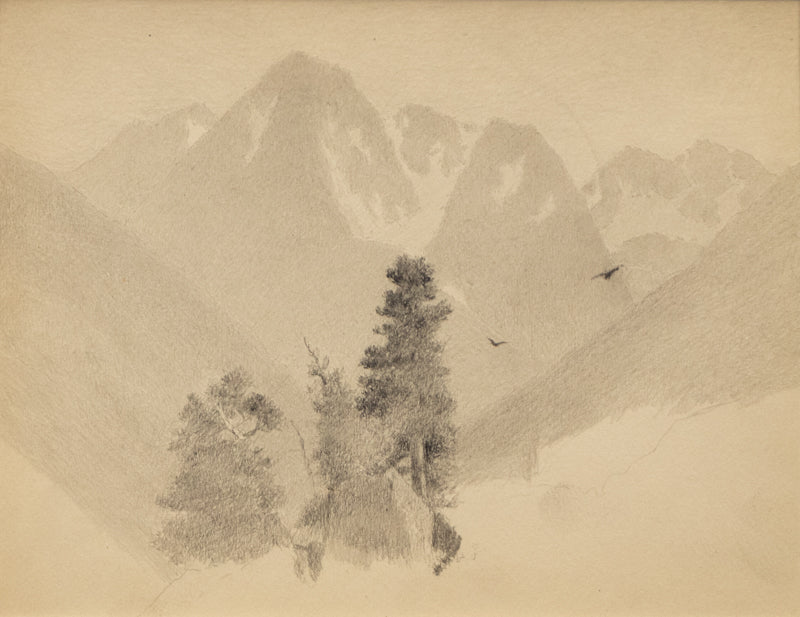 Charles Partridge Adams (1858-1942) artwork for sale. Untitled (Two Birds), Drawing, circa 1910, Denver, Colorado, Art Gallery)