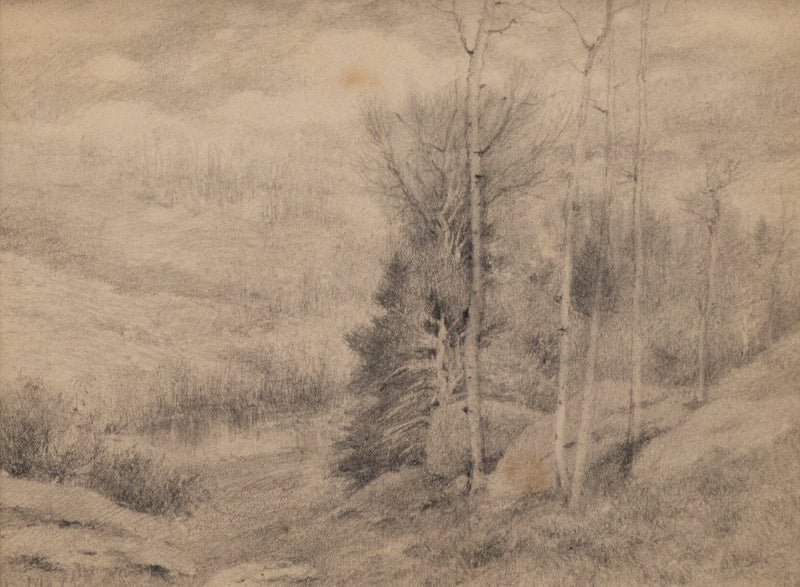Charles Partridge Adams (1858-1942) artwork for sale. Untitled (Aspens and Firs), Drawing, circa 1910, Denver, Colorado, Art Gallery)