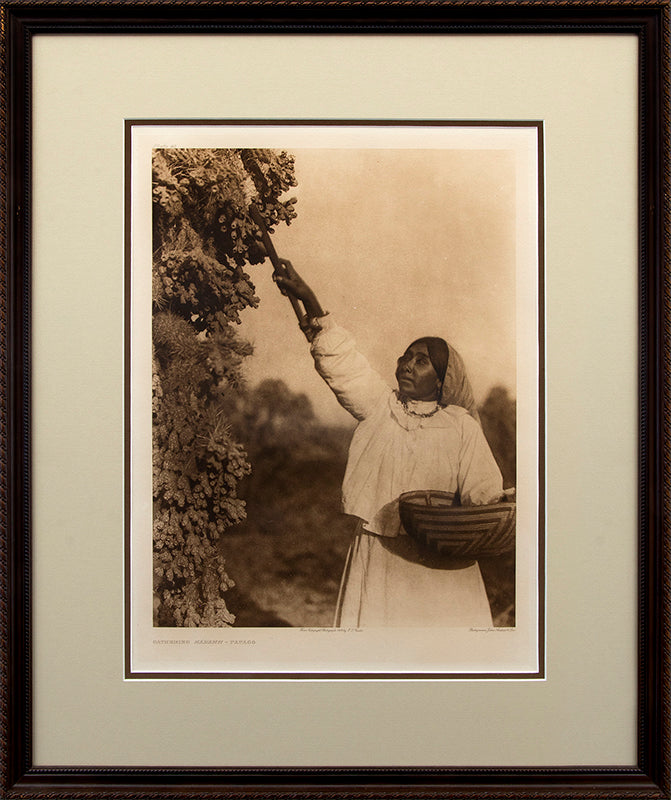 Gathering Hánamh- Papago, Portfolio #2, Plate #49, Photogravure, 1907