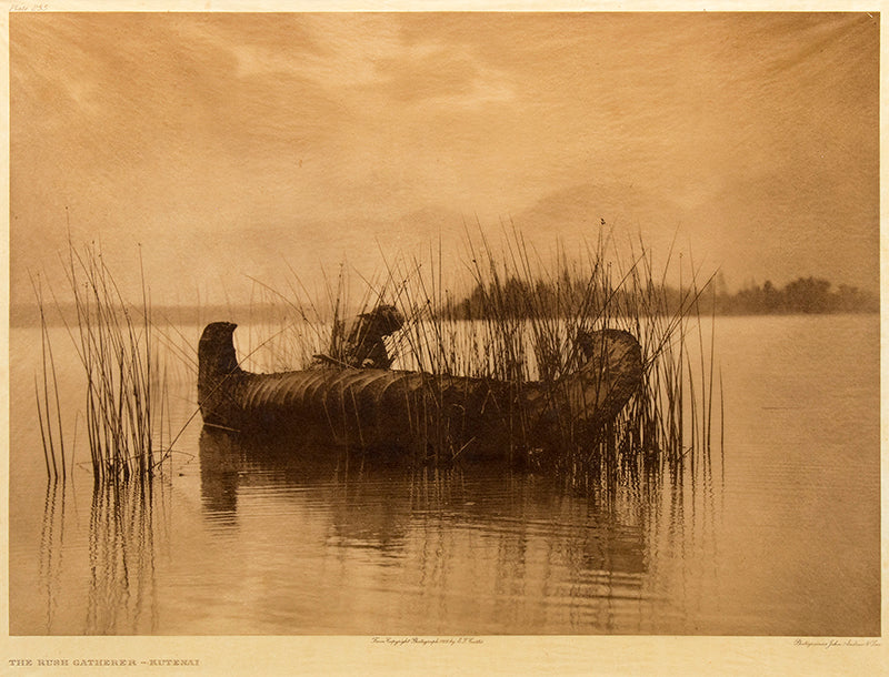 Edward Curtis (1868-1952) artwork for sale. The Rush Gatherer- Kutenai, Portfolio 7, Plate 255, Photogravure, 1910, Denver, Colorado, Art Gallery)