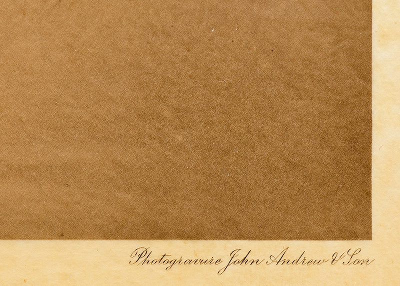 The Rush Gatherer- Kutenai, Portfolio 7, Plate 255, Photogravure, 1910