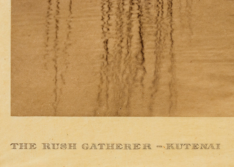 The Rush Gatherer- Kutenai, Portfolio 7, Plate 255, Photogravure, 1910