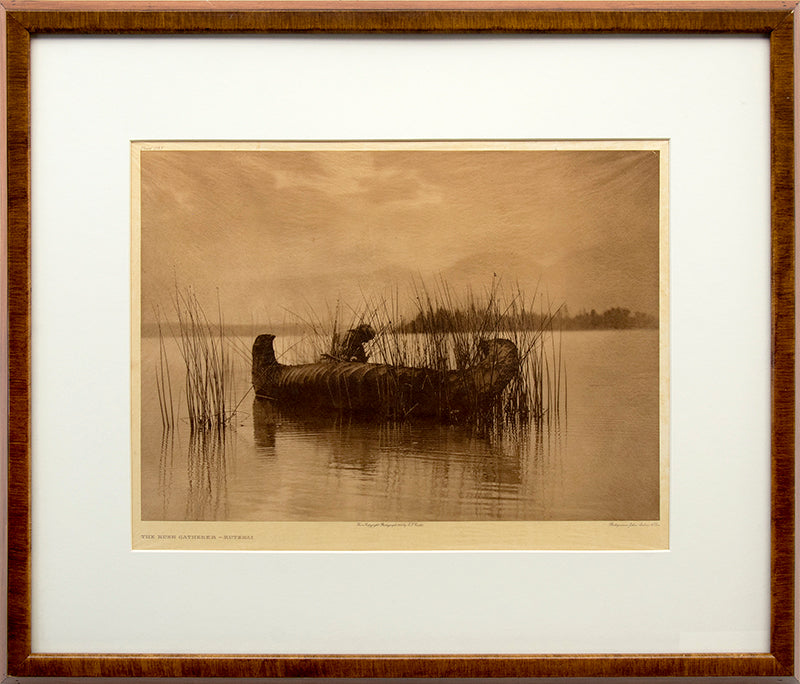 The Rush Gatherer- Kutenai, Portfolio 7, Plate 255, Photogravure, 1910