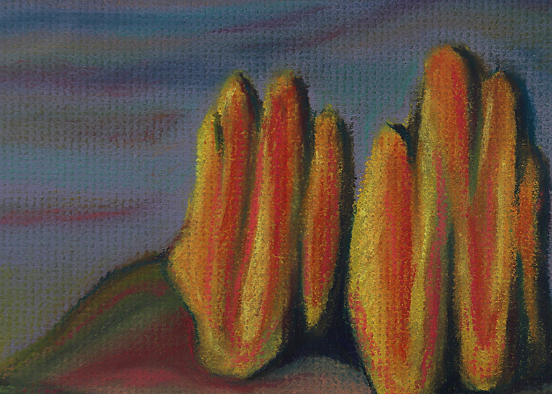Garden of the Gods, Drawing, 1987