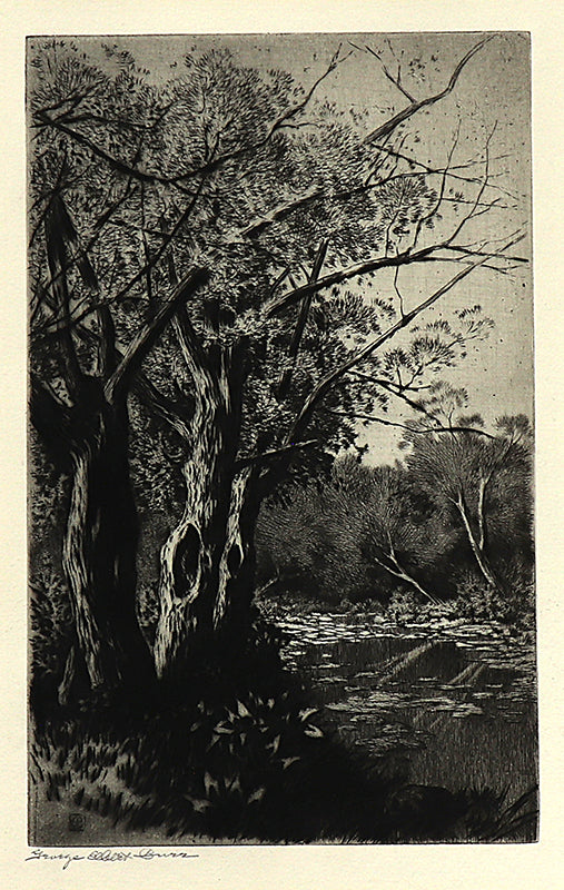 George Elbert Burr (1859-1939) artwork for sale. Willows (Pond with Willow Trees and Water Lilies), Print, circa 1920, Denver, Colorado, Art Gallery)