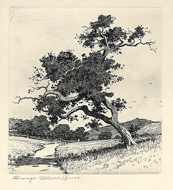 George Elbert Burr (1859-1939) artwork for sale. A Santa Barbara Road, California (Road with Trees and Hills), Print, circa 1913, Denver, Colorado, Art Gallery)