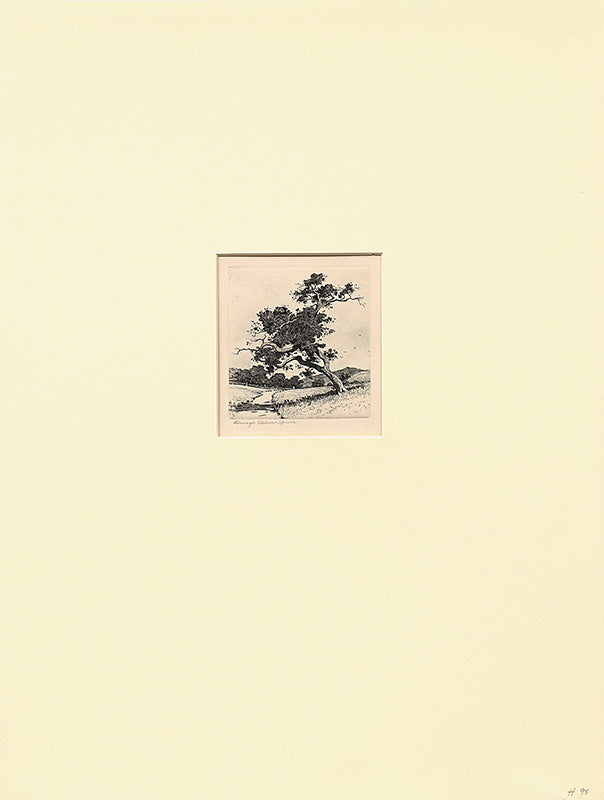 A Santa Barbara Road, California (Road with Trees and Hills), Print, circa 1913