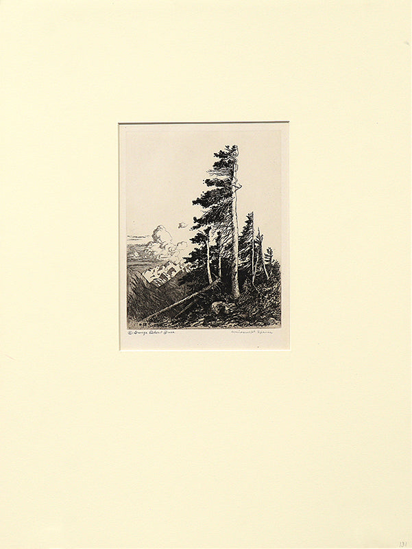 Windswept Spruce (Colorado), Print, 1917