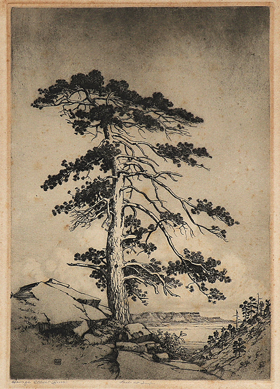 George Elbert Burr (1859-1939) artwork for sale. Sentinel Pine (Culebra/Snowy Range, Colorado), Print, circa 1916, Denver, Colorado, Art Gallery)