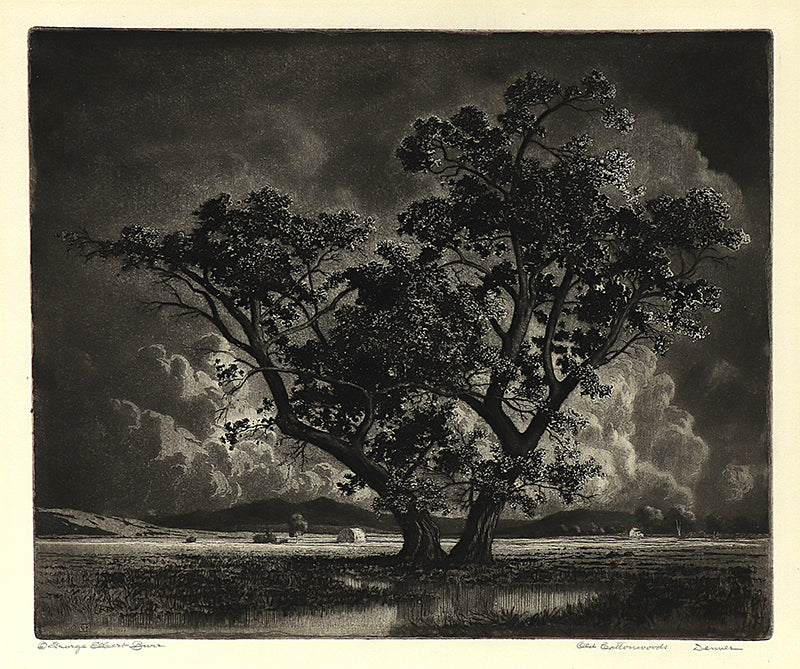 George Elbert Burr (1859-1939) artwork for sale. Old Cottonwoods, Denver, Colorado (Landscape with Cottonwoods and Hay Bales), Print, circa 1920, Denver, Colorado, Art Gallery)