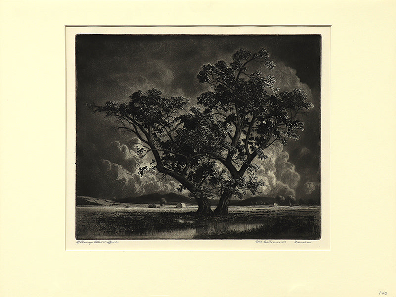 Old Cottonwoods, Denver, Colorado (Landscape with Cottonwoods and Hay Bales), Print, circa 1920