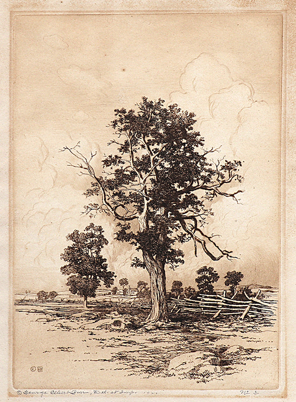 George Elbert Burr (1859-1939) artwork for sale. Old Oaks (Landscape of Oak Trees and Fence), Print, 1920, Denver, Colorado, Art Gallery)