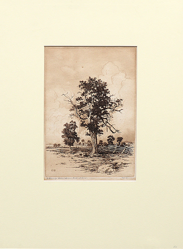 Old Oaks (Landscape of Oak Trees and Fence), Print, 1920