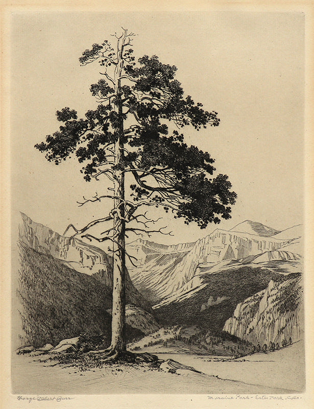 George Elbert Burr (1859-1939) artwork for sale. Moraine Park, Estes Park, Colorado (Winter), Print, circa 1916, Denver, Colorado, Art Gallery)