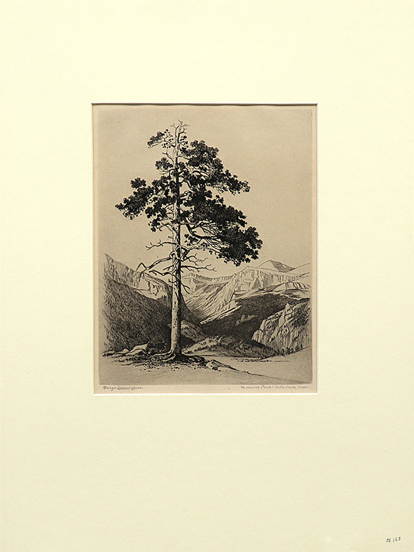 Moraine Park, Estes Park, Colorado (Winter), Print, circa 1916