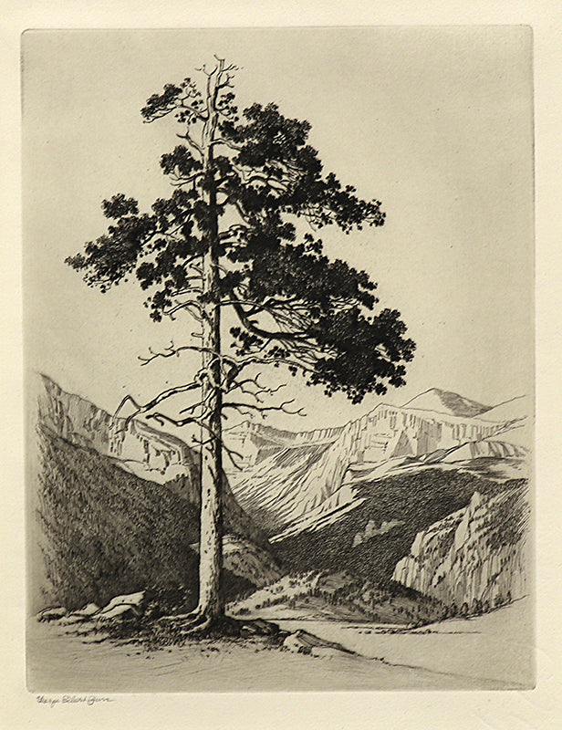 George Elbert Burr (1859-1939) artwork for sale. Moraine Park, Estes Park, Colorado (Mountain Moods), Print, circa 1916, Denver, Colorado, Art Gallery)