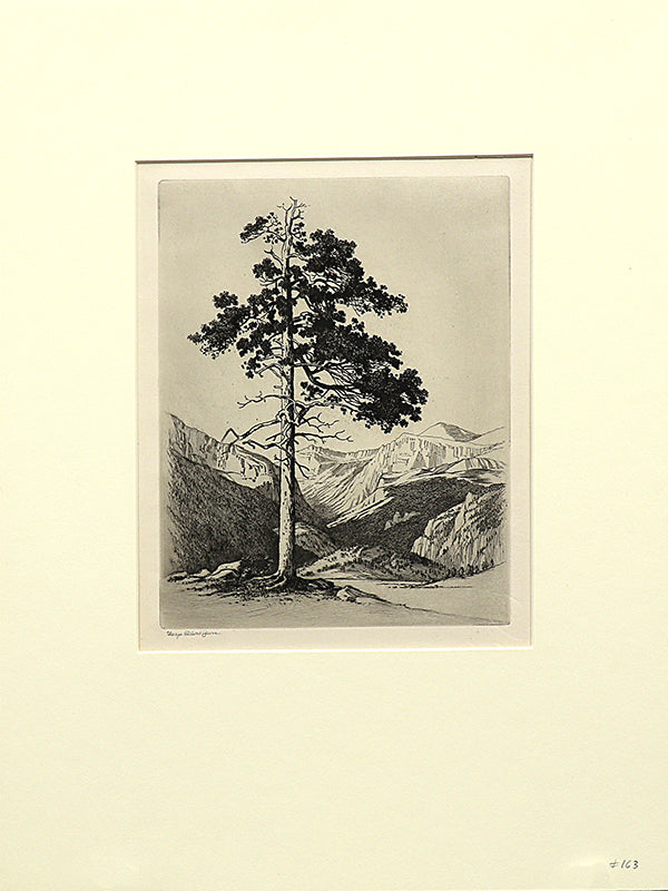 Moraine Park, Estes Park, Colorado (Mountain Moods), Print, circa 1916