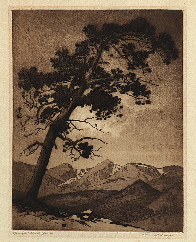 George Elbert Burr (1859-1939) artwork for sale. The Leaning Pine (Estes Park, Colorado - Mountain Moods), Print, circa 1916, Denver, Colorado, Art Gallery)