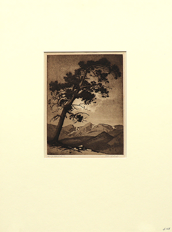 The Leaning Pine (Estes Park, Colorado - Mountain Moods), Print, circa 1916