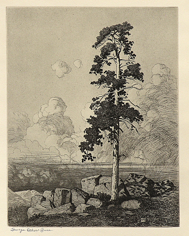 George Elbert Burr (1859-1939) artwork for sale. Solitary Pine (Mountain Moods), Print, circa 1916, Denver, Colorado, Art Gallery)