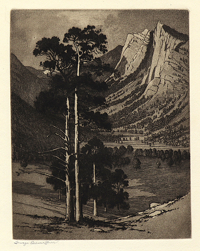 George Elbert Burr (1859-1939) artwork for sale. Black Canyon, Colorado (Estes Park, Colorado - Mountain Moods), Print, circa 1916, Denver, Colorado, Art Gallery)