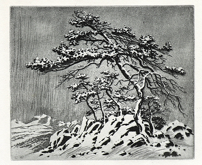 George Elbert Burr (1859-1939) artwork for sale. Untitled (Snow Storm, Estes Park), Print, circa 1915, Denver, Colorado, Art Gallery)