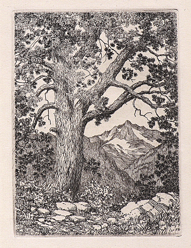 George Elbert Burr (1859-1939) artwork for sale. Moraine Park, Estes Park, Colorado (Summer), Print, 1921, Denver, Colorado, Art Gallery)