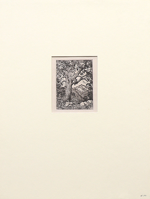 Moraine Park, Estes Park, Colorado (Summer), Print, 1921