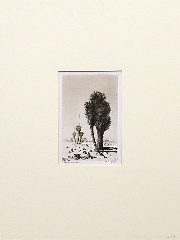 Yuccas (Arizona - Desert Set), Print, circa 1921
