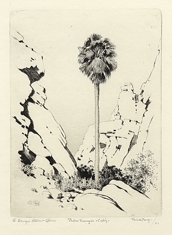 George Elbert Burr (1859-1939) artwork for sale. Palm Canyon, California (Desert Set), Print, circa 1921, Denver, Colorado, Art Gallery)