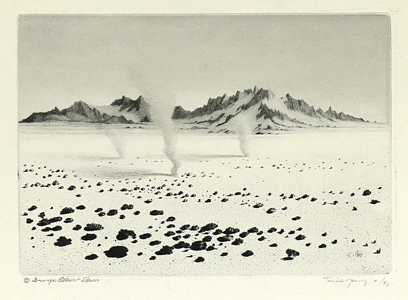 George Elbert Burr (1859-1939) artwork for sale. Whirlwinds, Mojave Desert, California (Desert Set), Print, circa 1921, Denver, Colorado, Art Gallery)