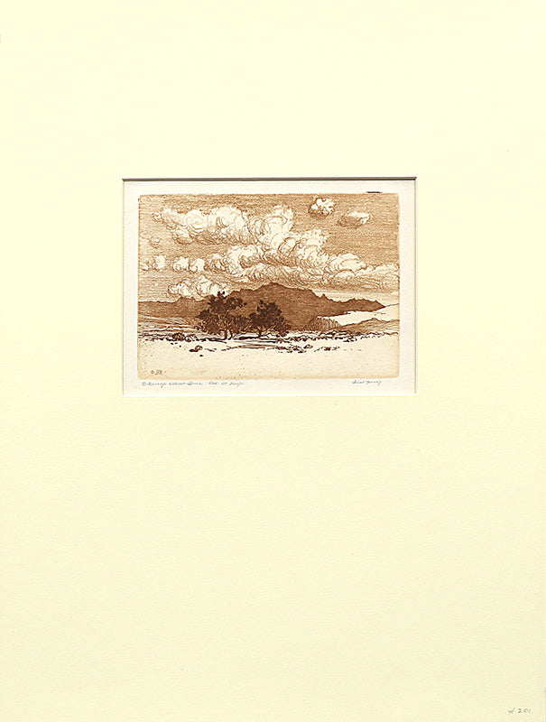 Palo Verde Trees (Arizona - Desert Set), Print, circa 1921