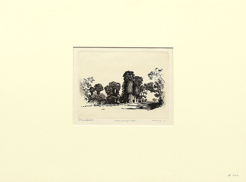 Palm Springs, California (Desert Set), Print, circa 1921