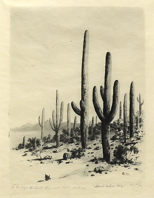 George Elbert Burr (1859-1939) artwork for sale. Giant Cactus, Arizona (Desert Set), Print, circa 1921, Denver, Colorado, Art Gallery)